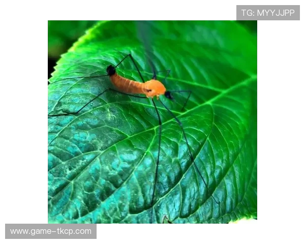 孙祥微博爆料幕后故事 网友热议球场内外的真实生活